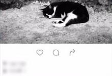 教你一闪变声如何设置。