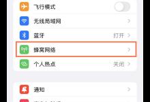 分享苹果13如何关闭5G网络。
