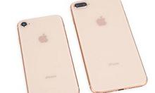 教你苹果se2设置动态壁纸的步骤教程。