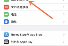我来教你怎样设置苹果手机四位数密码。