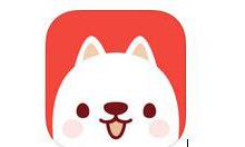 分享有宠添加卡片的简单操作。