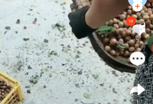 小编分享火牛视频中将作品删掉的详细流程讲解。