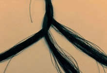 小编教你在抖音里做头发手链的方法讲解。