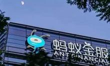 小编教你蚂蚁金服暂缓上市原因是什么。