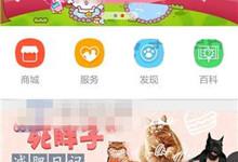 我来教你在波奇宠物APP中创建圈子的详细步骤。