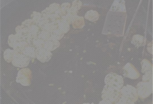 小编分享苹果手机退出引导式访问的方法介绍。