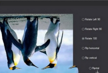 教你在图片工厂中旋转图片的具体步骤。