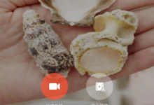 教你在美拍大师APP里导入本地音乐的具体步骤。