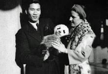历史上偷走中国大熊猫的美国女人是谁?