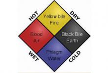 古代的水蛭疗法真的可以治病吗?