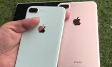 教你苹果8plus提升网速的相关操作讲解。