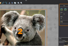 小编教你图片工厂中裁剪分割功能的步骤讲解。