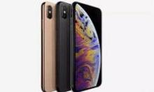 分享在iPhoneXs Max中设置朗读屏幕的图文教程。