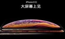 分享在iPhoneXs Max中设置小白点截图的图文教程。