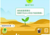 小编分享在支付宝中查看自己所种的树的图文教程。