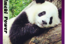 小编分享在海报工厂中设置滤镜的具体方法。