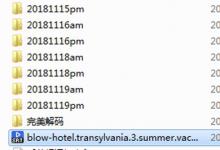 教你完美解码怎么加字幕