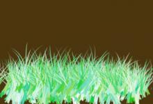 分享PhotoShop怎么画草地（photoshop怎么画矩形）