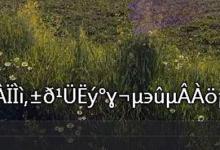 分享完美解码字幕导入乱码怎么办