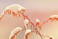 我来教你2018朋友圈立冬心情图分享（立冬朋友圈心情说说）