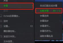 我来教你爱奇艺万能播放器怎么调字幕