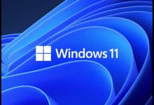 分享Win11的更新文件在哪里（Win11系统更新文件在哪）
