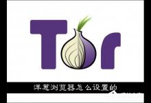 我来分享洋葱浏览器怎么设置的