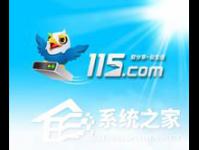 小编分享115网盘怎么下载东西（手机115网盘怎么下载）