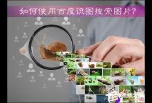 教你如何使用百度识图搜索图片