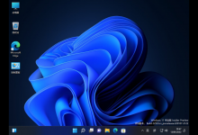 分享Win11左下角小组件怎么关闭