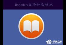 分享ibooks支持什么格式（ibooks支持什么格式的书籍）