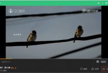 分享QQ音乐MV怎么下载（qq音乐mv怎么下载到电脑）