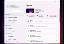 小编教你Win11下载速度慢怎么办（Win11浏览器下载速度慢）