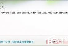 分享迅雷怎么把磁力链接转种子