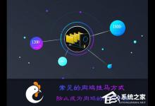 小编分享什么是肉鸡