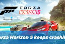 小编分享地平线5不停奔溃闪退怎么解决