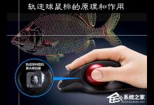 我来教你轨迹球鼠标好用吗