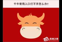 小编分享Win10系统下千牛常用入口打不开怎么办