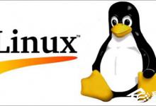 我来教你如何安装thefuck（如何安装两个独立微信）