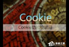 教你Win7系统如何启用浏览器的cookie功能