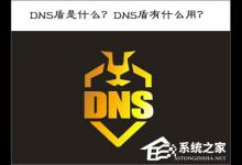 小编分享DNS盾是什么（私人dns是什么意思）