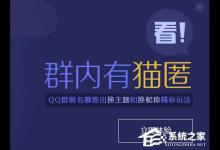 我来教你QQ群匿名聊天怎么设置（手机qq群匿名聊天怎么设置）