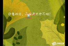 小编分享Excel表格输入身份证号码乱码怎么办（excel表格输入身份证号码后变乱码）