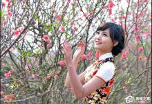 我来教你PS历史记录画笔工具怎么用（ps历史记录画笔工具怎么恢复）