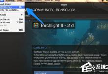 教你Steam游戏平台怎么设置中文