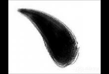 我来分享顿号在键盘上怎么打