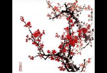 教你PS如何使用通道抠梅花