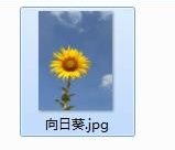 教你如何用画图工具制作圆形的头像