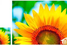 小编教你怎么样无损放大图片