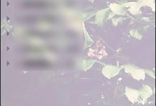 我来分享QQ情侣空间怎么解除关系（qq情侣空间怎么解除关系后还能恢复吗）